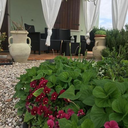 Appartamento Sofia لاتيزي المظهر الخارجي الصورة